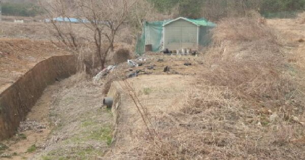 경기도 가평군 가평읍 금대리 55-11 대지 경매 물건 이미지