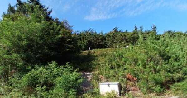 충청남도 서산시 대산읍 화곡리 산8-58 임야 경매 물건 이미지