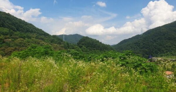 경기도 가평군 가평읍 두밀리 산143 임야 경매 물건 이미지