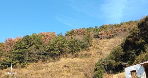 경상남도 통영시 욕지면 서산리 750-4 전 경매 물건 이미지