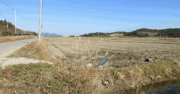 전라남도 신안군 팔금면 원산리 106-1 답 경매 물건 이미지