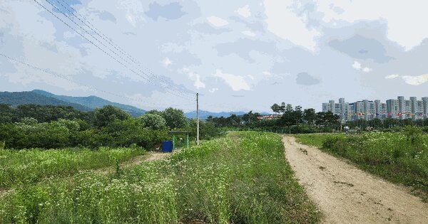 충청북도 음성군 음성읍 신천리 84-43 과수원 경매 물건 이미지