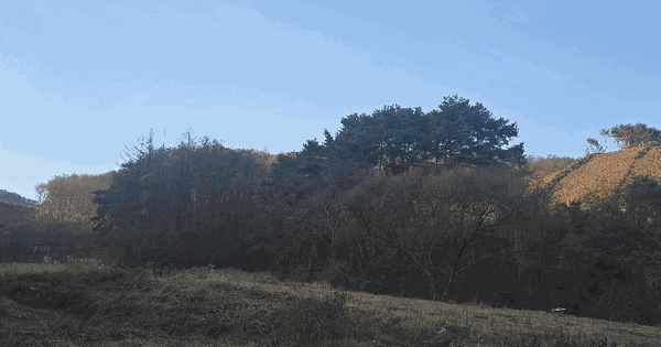 강원특별자치도 원주시 판부면 신촌리 산94 임야 경매 물건 이미지