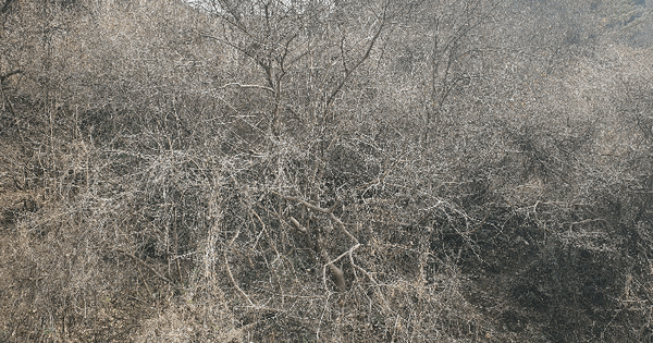 전남광주통합특별시 순천시 황전면 죽청리 747 전 경매 물건 이미지