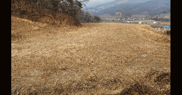 충청북도 음성군 소이면 비산리 959-1 과수원 경매 물건 이미지