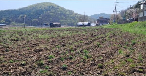 경기도 파주시 법원읍 동문리 436-4 답 경매 물건 이미지