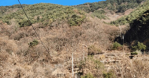 경상남도 밀양시 상동면 도곡리 산103 임야 경매 물건 이미지