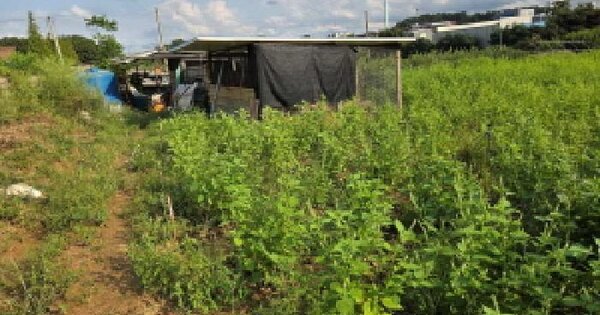 충청남도 아산시 둔포면 석곡리 325 전 경매 물건 이미지