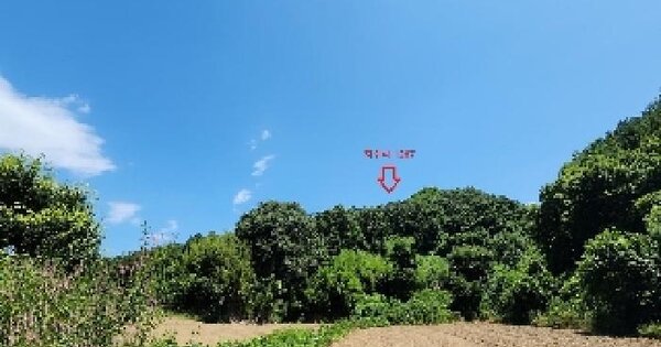 충청북도 옥천군 안남면 지수리 1287 전 경매 물건 이미지