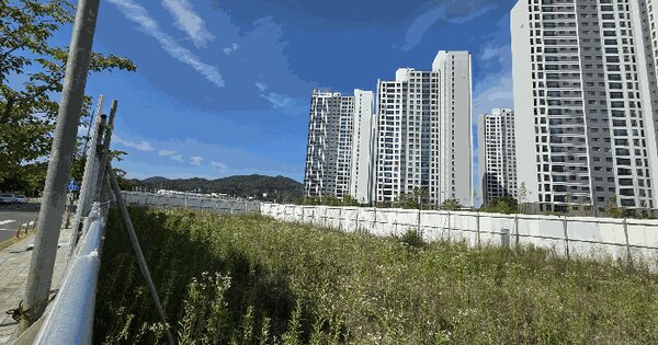 경상북도 김천시 부곡동 515-7 답 경매 물건 이미지