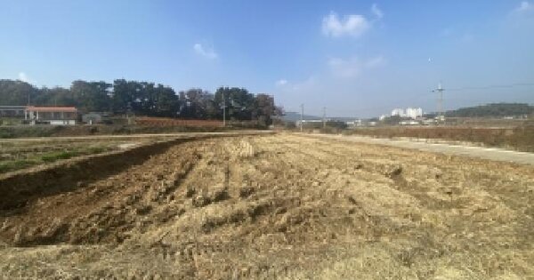충청남도 당진시 송악읍 중흥리 541-5 답 경매 물건 이미지