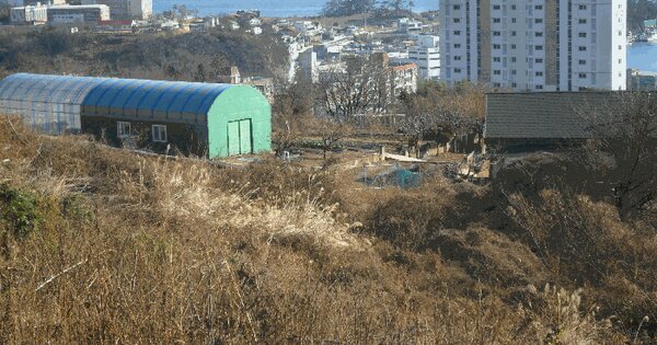경상북도 경주시 감포읍 감포리 288-2 전 경매 물건 이미지