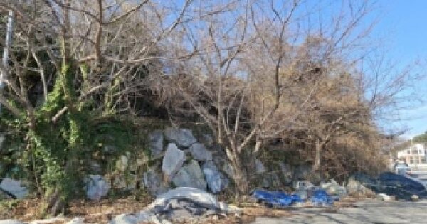 경상남도 남해군 삼동면 물건리 산151 임야 경매 물건 이미지