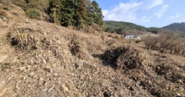 경상남도 남해군 삼동면 동천리 520-2 답 경매 물건 이미지