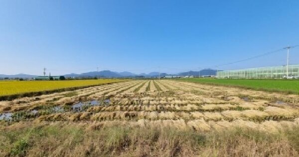 경상남도 창원시 의창구 대산면 제동리 797 답 경매 물건 이미지