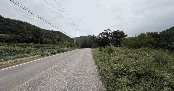 경상북도 영양군 영양읍 대천리 109-3 전 경매 물건 이미지