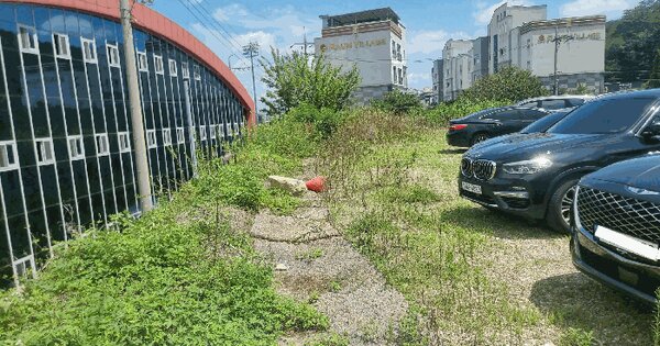 경상북도 구미시 남통동 137 답 경매 물건 이미지