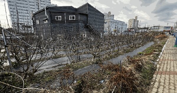 전라남도 영암군 삼호읍 용앙리 208-13 답 경매 물건 이미지