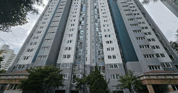 경기도 남양주시 다산동 4432-2 다산 리버펠리체 726동 OOOOOO 아파트 경매 물건 이미지