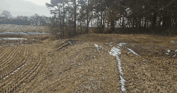 충청남도 당진시 합덕읍 운산리 35-9 답 경매 물건 이미지