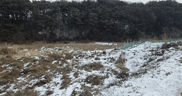 충청남도 당진시 송산면 부곡리 538-1 답 경매 물건 이미지
