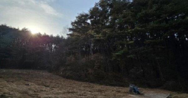경상북도 봉화군 춘양면 석현리 산43-4 임야 경매 물건 이미지