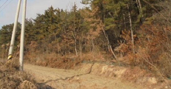 충청남도 부여군 세도면 사산리 산9-1 임야 경매 물건 이미지