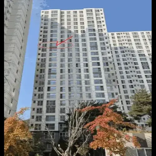 물건 사진