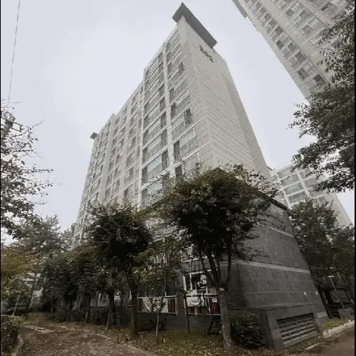 물건 사진
