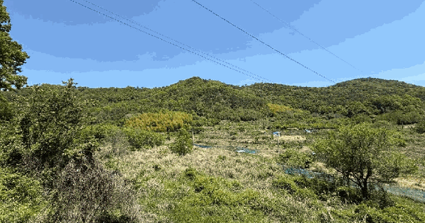 경상남도 거제시 장목면 농소리 384 전 경매 물건 이미지