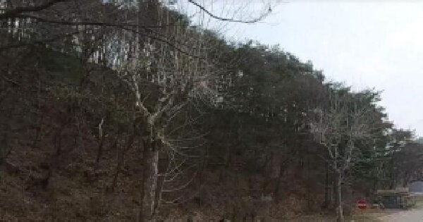 충청북도 충주시 수안보면 안보리 290-3 전 경매 물건 이미지