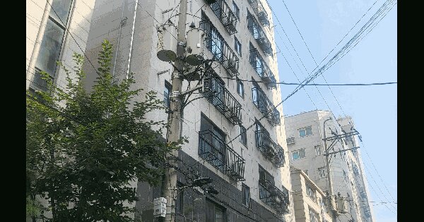 서울특별시 중랑구 상봉동 103-2 비동 5층501호 다세대주택 경매 물건 이미지