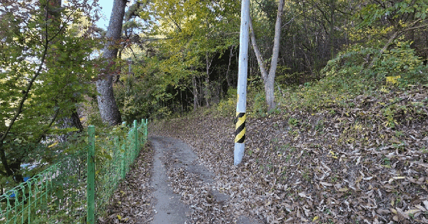 부산광역시 기장군 철마면 구칠리 산75-154 임야 경매 물건 이미지
