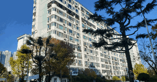 대구광역시 남구 봉덕동 1141 효성타운2차 208동 2층207호 아파트 경매 물건 이미지