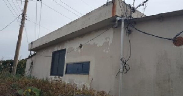 제주특별자치도 서귀포시 성산읍 신천리 206  동물 및 식물 관련시설 경매 물건 이미지