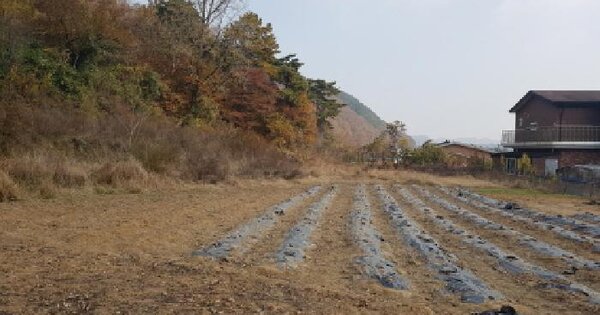 충청남도 천안시 동남구 광덕면 대덕리 151 전 경매 물건 이미지