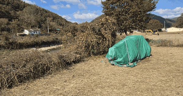 경상북도 포항시 북구 죽장면 합덕리 690 전 경매 물건 이미지