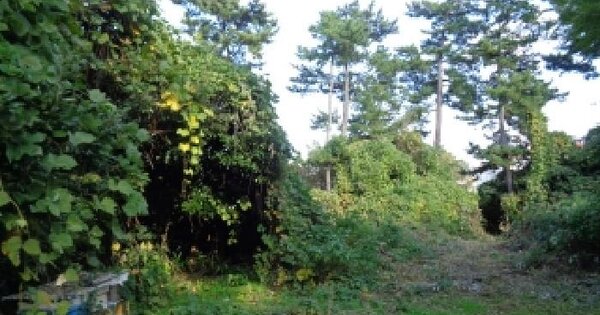 제주특별자치도 제주시 도남동 225 전 경매 물건 이미지