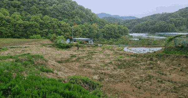 경기도 광주시 남종면 금사리 167 답 경매 물건 이미지