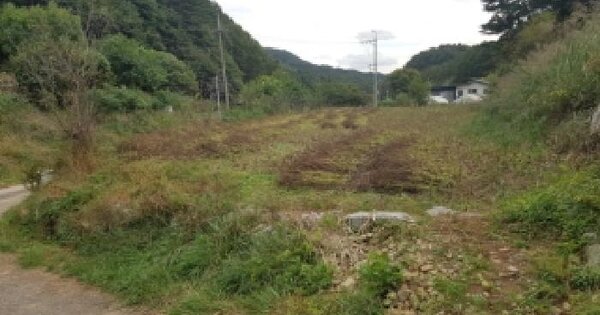 강원특별자치도 춘천시 동산면 조양리 58-1 전 경매 물건 이미지