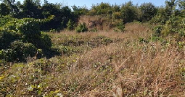 전북특별자치도 전주시 덕진구 만성동 809-6 전 경매 물건 이미지