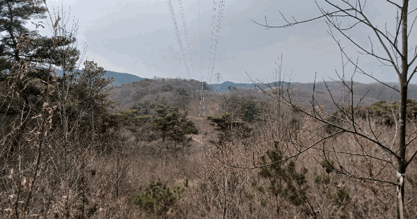 충청남도 부여군 임천면 군사리 산38-3 임야 경매 물건 이미지
