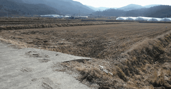 충청남도 논산시 연무읍 양지리 219-7 답 경매 물건 이미지
