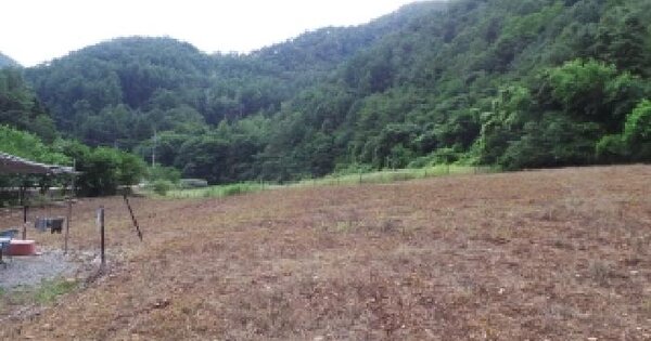 강원특별자치도 평창군 평창읍 입탄리 795 전 경매 물건 이미지