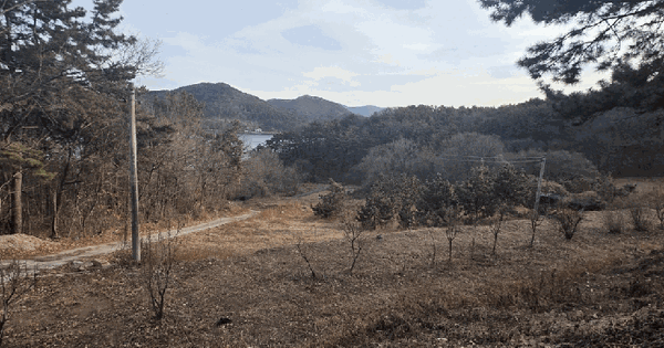 경상남도 창원시 마산합포구 구산면 유산리 54-1 답 경매 물건 이미지