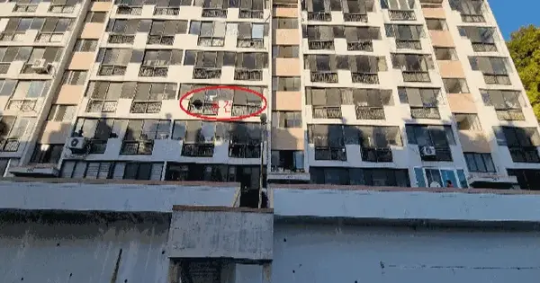 부산광역시 사하구 당리동 237-33 호성빌라맨션 2동 3층 303호 아파트 경매 물건 이미지