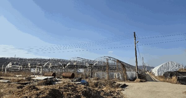 충청북도 진천군 이월면 삼용리 737 답 경매 물건 이미지