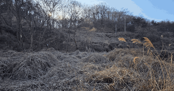 경상북도 성주군 수륜면 송계리 76 답 경매 물건 이미지