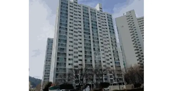 부산광역시 북구 화명동 2322 수정강변타운 110동 17층1703호 아파트 경매 물건 이미지