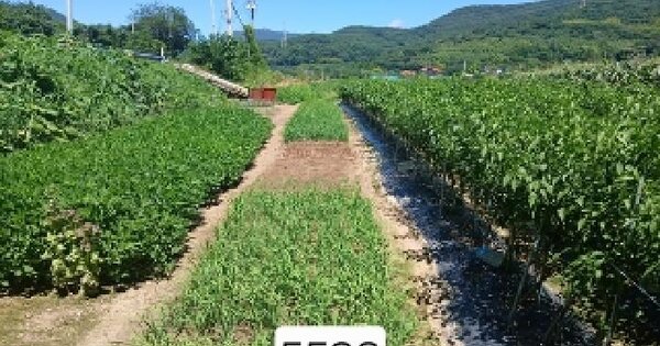 부산광역시 기장군 철마면 웅천리 794-3 답 경매 물건 이미지